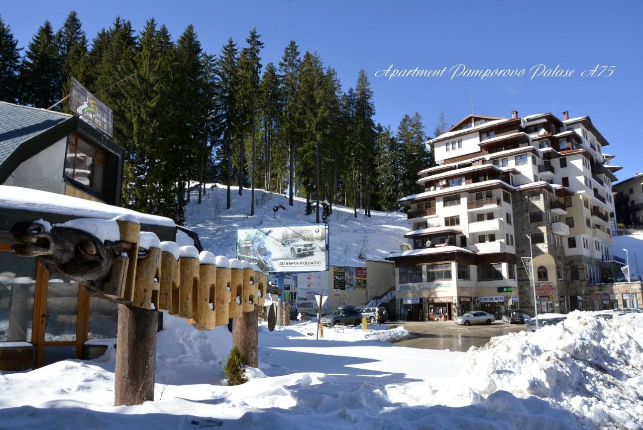 Apartment Pamporovo Palaсe A75 Zewnętrze zdjęcie