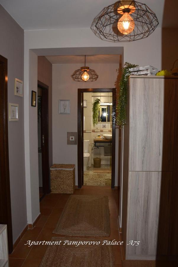 Apartment Pamporovo Palaсe A75 Zewnętrze zdjęcie